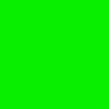 19 08 12 cores neon verde limao